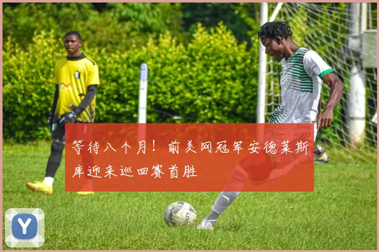 等待八个月!前美网冠军安德莱斯库迎来巡回赛首胜